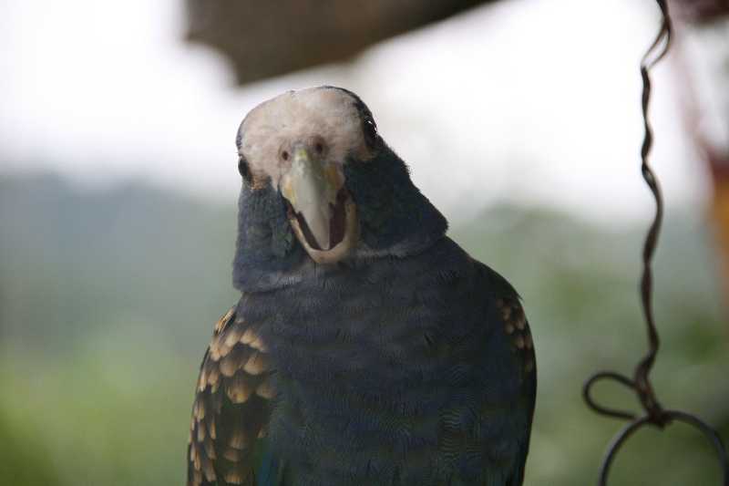 Mexico & Guatemala 2010 - 0321